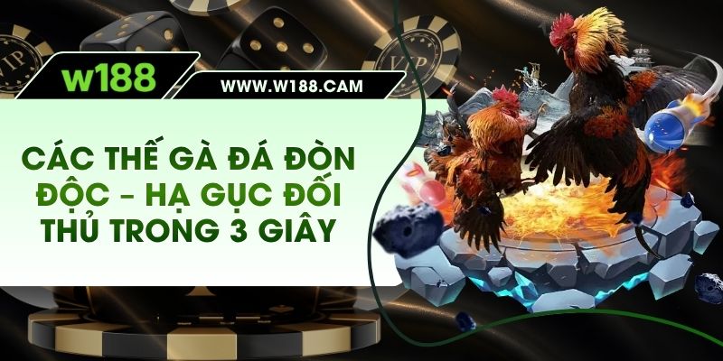 Các Thế Gà Đá Đòn Độc - Hạ Đối Thủ Trong 3 Giây