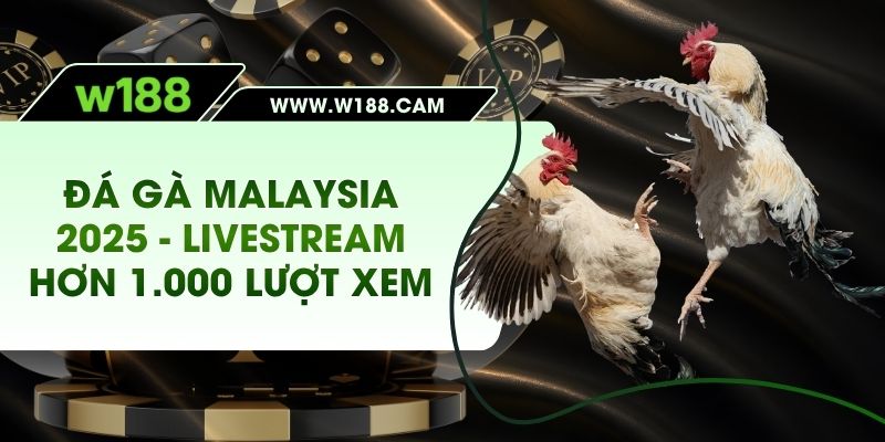 Đá Gà Malaysia 2025 - Livestream