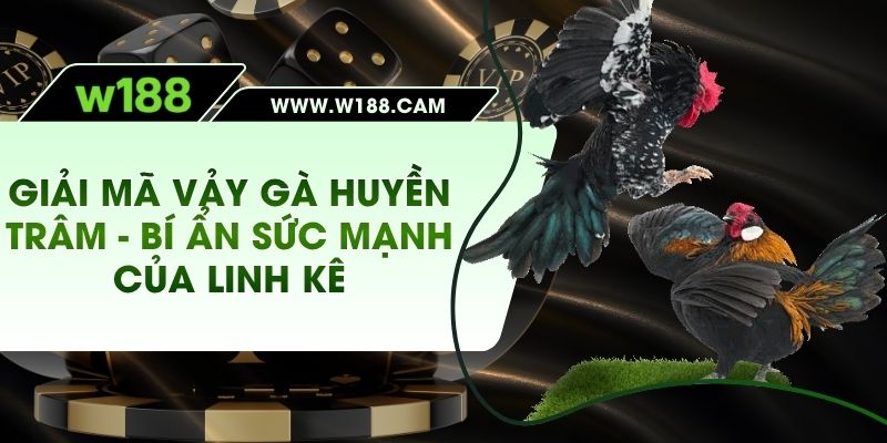 Vảy Gà Huyền Trâm – Bí Ẩn Sức Mạnh Của Linh Kê