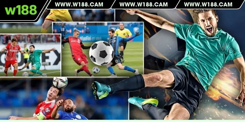 Một số kiểu cược được sử dụng