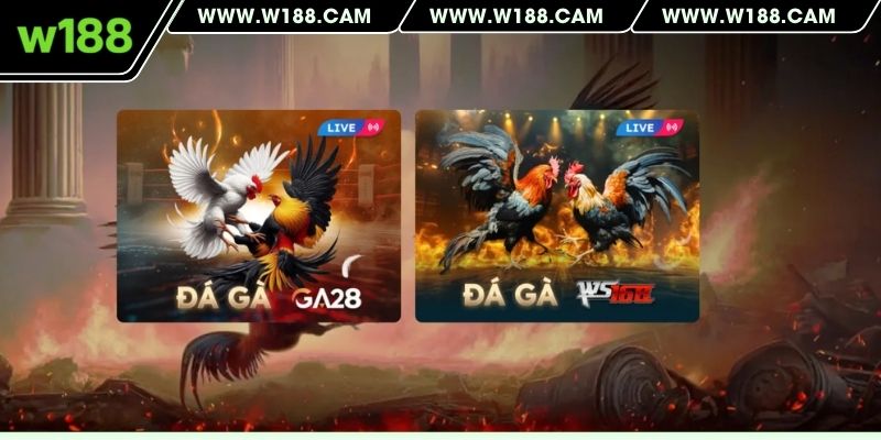 Tìm đúng tử địa làm nên chiến thắng